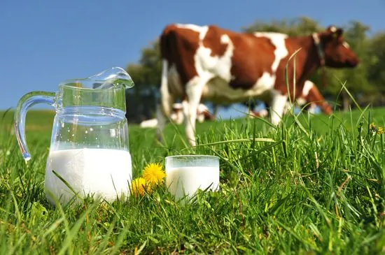 Firma „Mujanovići“ obezbijedila vrijednu donaciju za korisnike javne kuhinje u Ilijašu